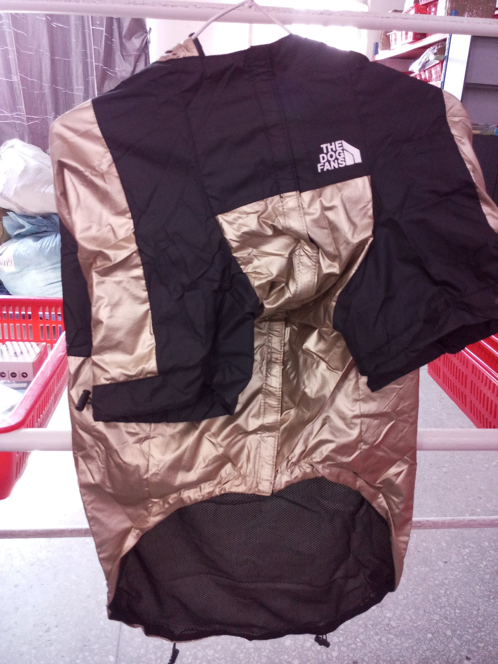 Chien portant la veste imperméable dorée Dario Mio