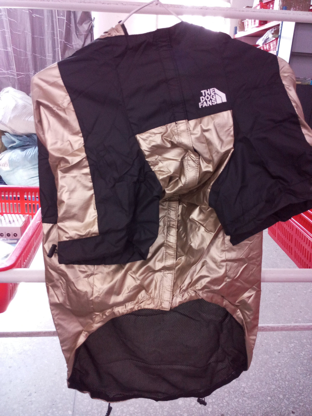 Chien portant la veste imperméable dorée Dario Mio