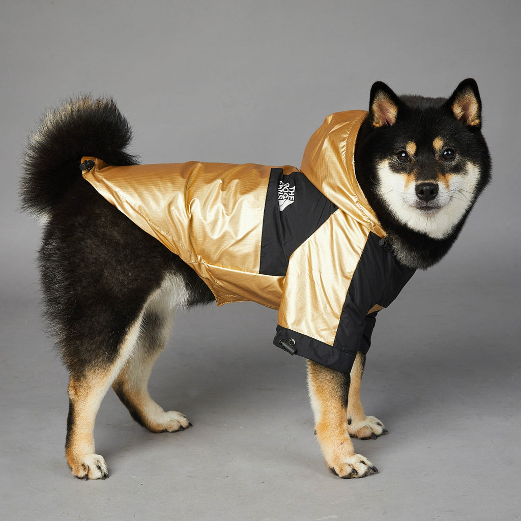Veste dorée pour promenade sous la pluie