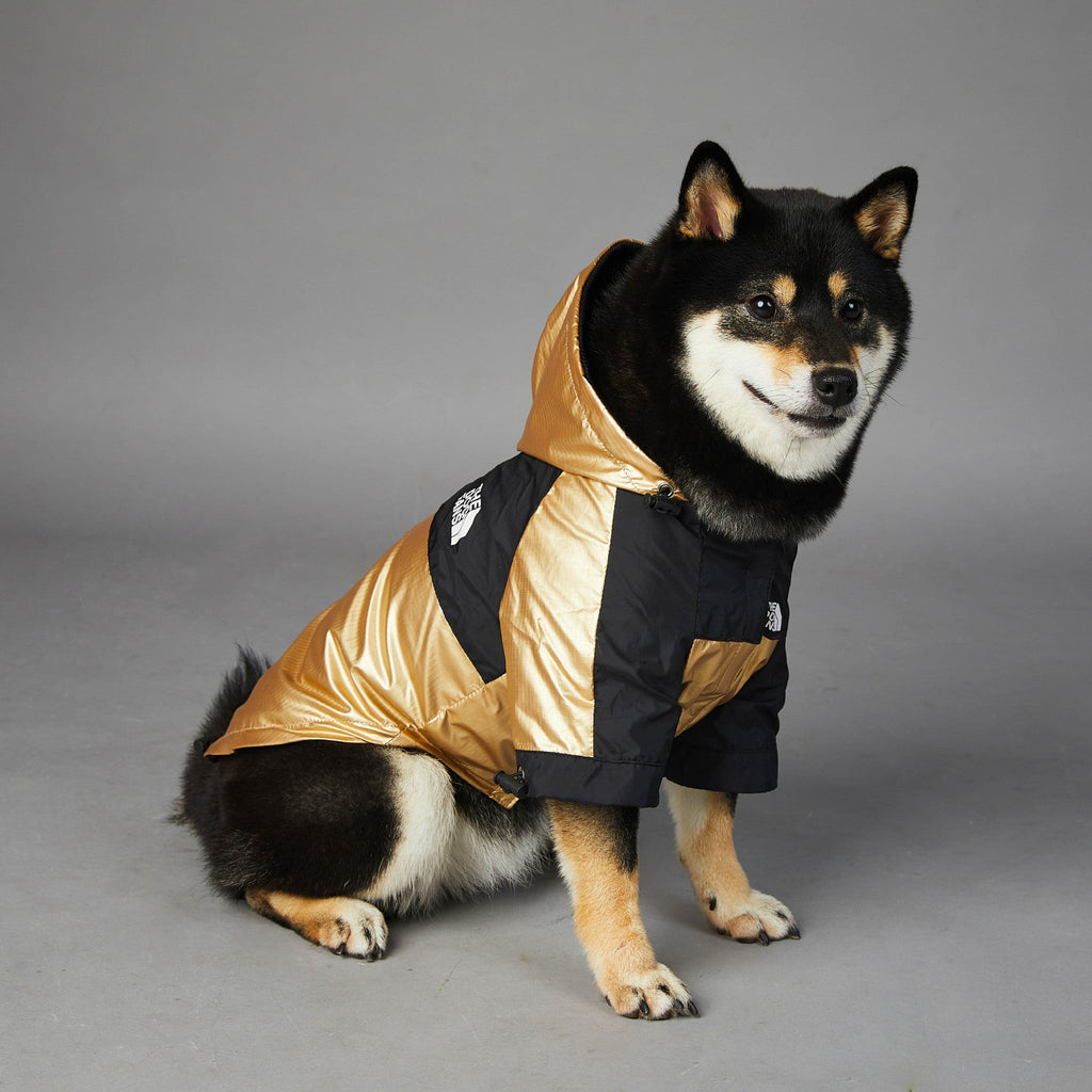 Veste imperméable dorée pour chien – vue principale