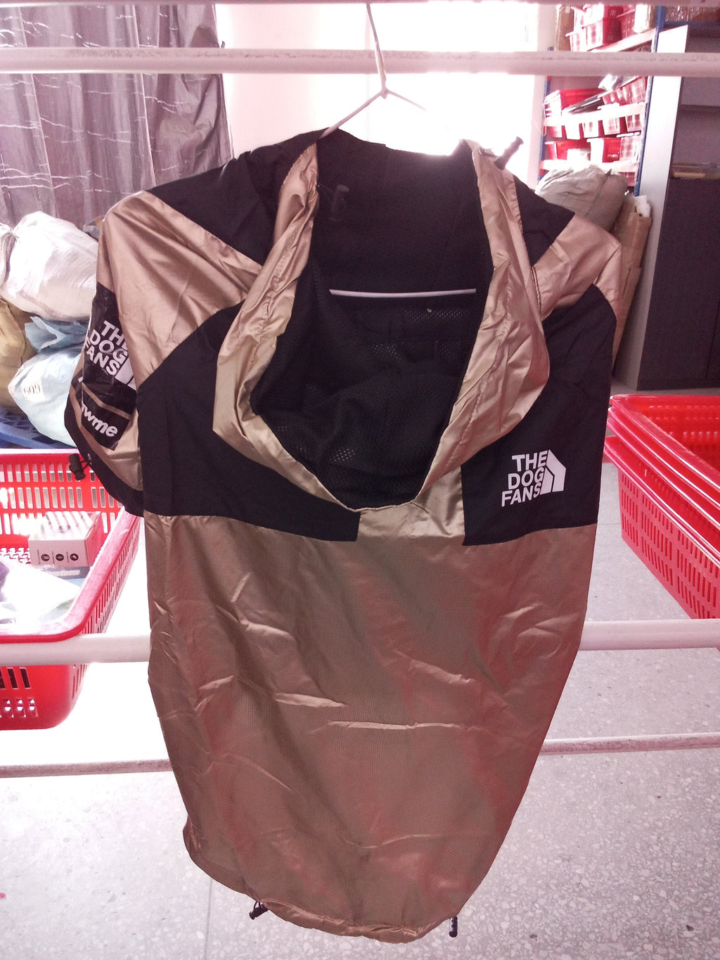 Veste imperméable dorée portée par un chien