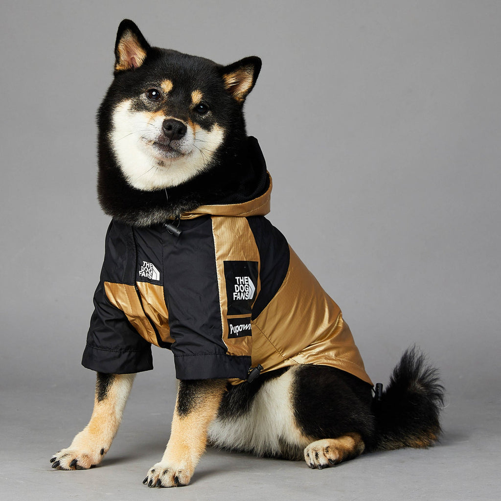 Manteau imperméable doré pour petit et grand chien